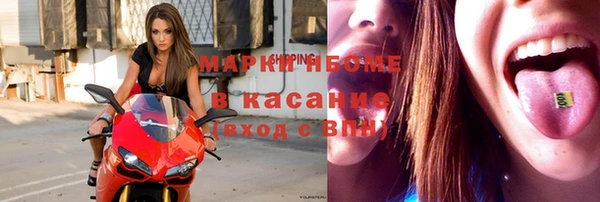 хмурый Новозыбков