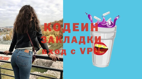 хмурый Новозыбков